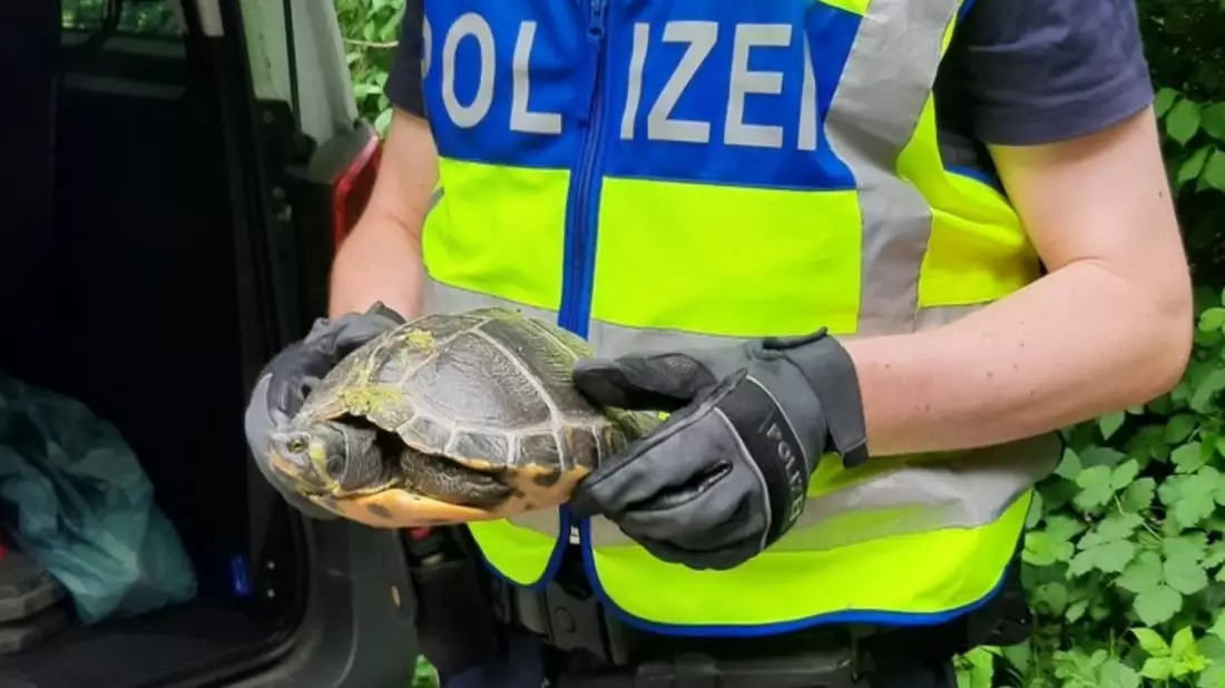BPOL NRW: Die Bundespolizei - gefragte Tierretter im Einsatz - Bild: presseportal.de