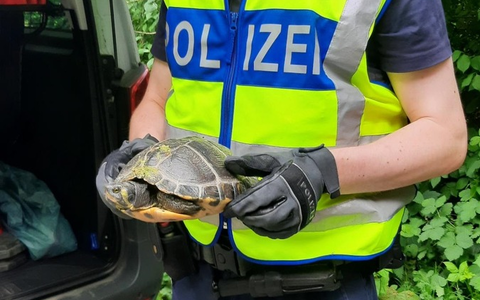 BPOL NRW: Die Bundespolizei - gefragte Tierretter im Einsatz - Foto: presseportal.de