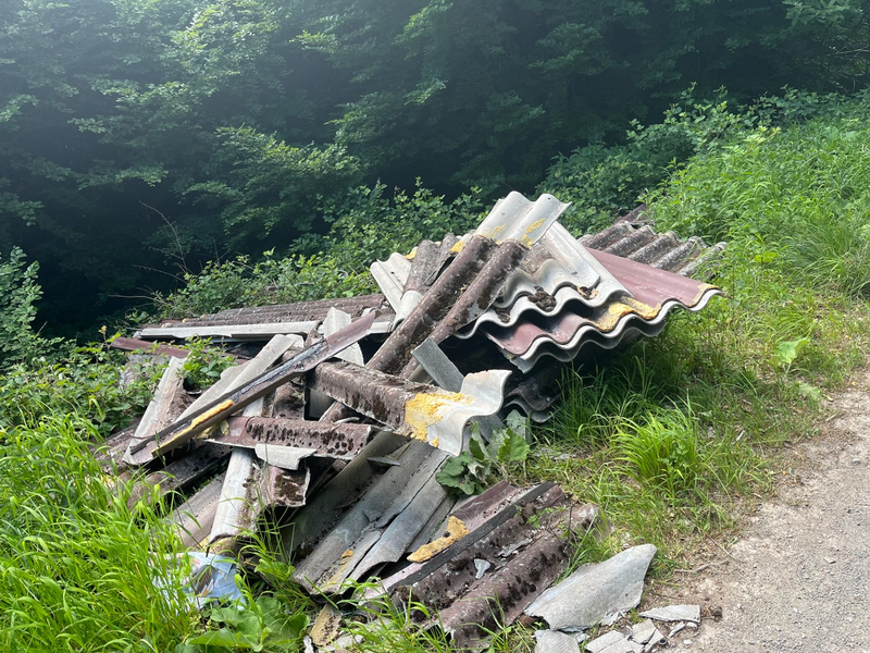 POL-MA: Eberbach/Unterdielbach/Rhein-Neckar-Kreis: Illegale Entsorgung asbesthaltiger Eternitplatten im Waldgebiet - Zeugenaufruf - Foto: presseportal.de