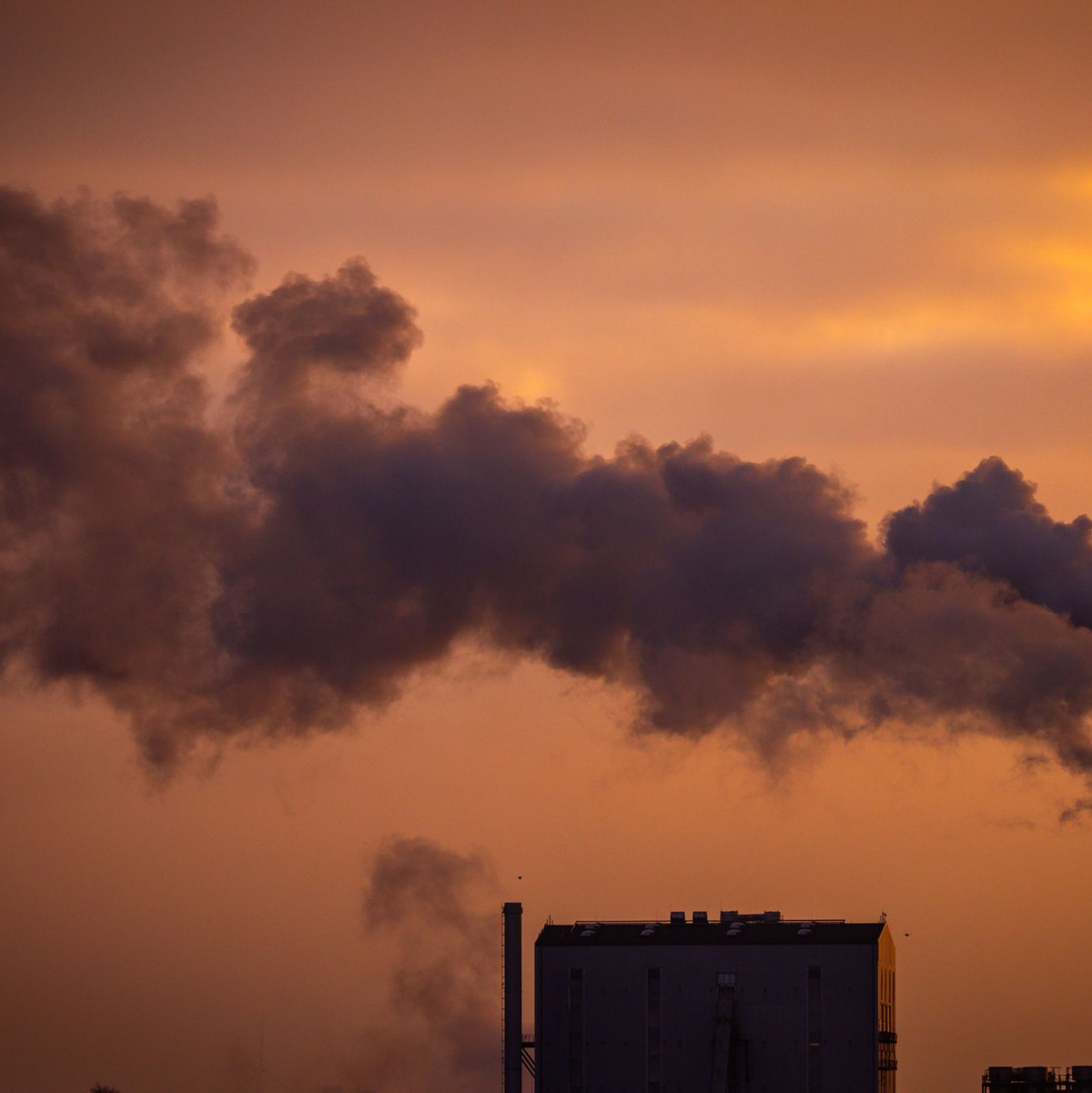 In Summe haben die 40 Dax-Unternehmen ihre Treibhausgas-Emissionen 2024 gesenkt. (Symbolbild) - Foto: Jens Büttner/dpa