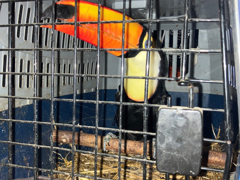 POL-H: Geschützte Tierarten bei Verkehrskontrolle auf der Autobahn (A) 2 entdeckt - Foto: presseportal.de