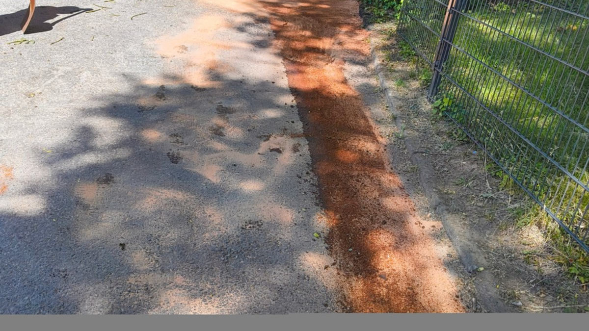 FW-Heiligenhaus: Drei Einsätze am Montagvormittag für die Feuerwehr - Foto: presseportal.de
