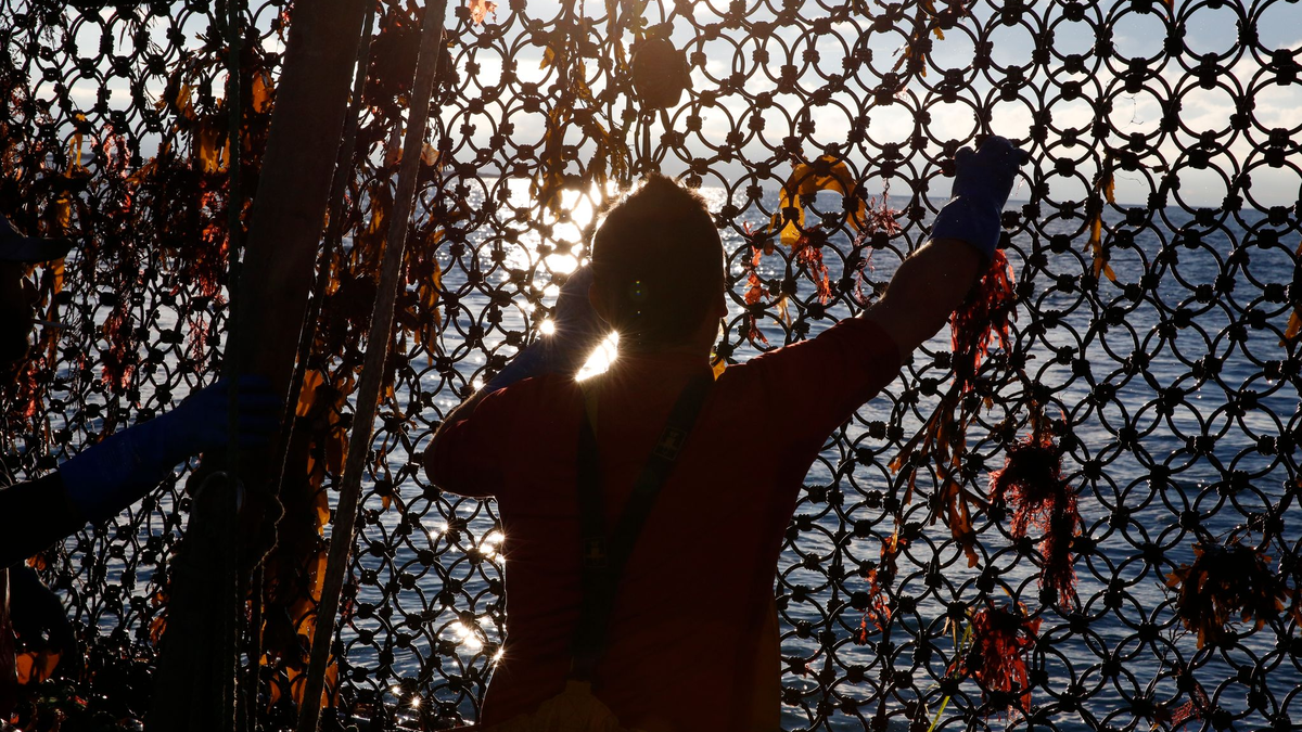 Ein Fischer an Bord eines Trawlers an der Grenze der französisch-britischen Gewässer. (Archivbild)  - Foto: Nicolas Garriga/AP/dpa