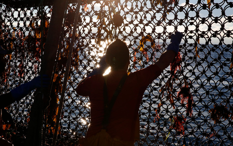 Ein Fischer an Bord eines Trawlers an der Grenze der französisch-britischen Gewässer. (Archivbild)  - Foto: Nicolas Garriga/AP/dpa