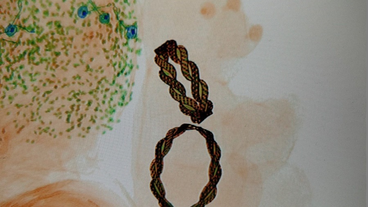 HZA-M: Zoll entdeckt Goldschmuck in einem Teddybären - Foto: presseportal.de