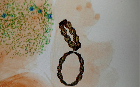 HZA-M: Zoll entdeckt Goldschmuck in einem Teddybären - Foto: presseportal.de