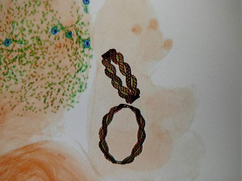 HZA-M: Zoll entdeckt Goldschmuck in einem Teddybären - Foto: presseportal.de