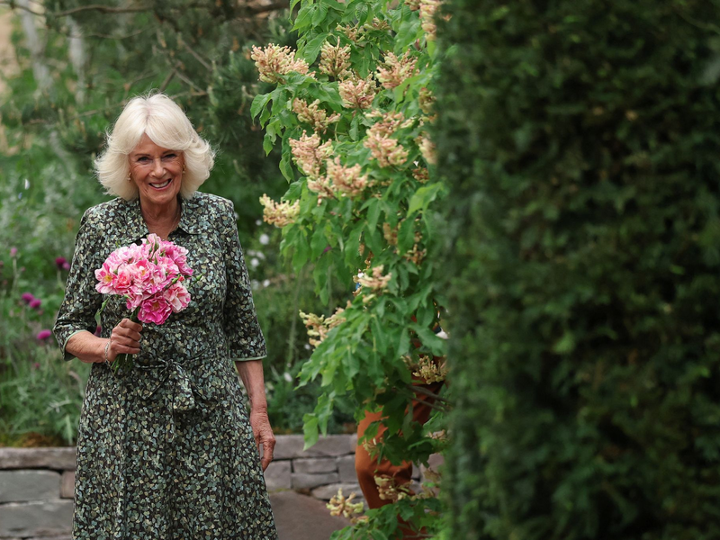 David Beckham traf den König. - Foto: Toby Melville/PA Wire/dpa