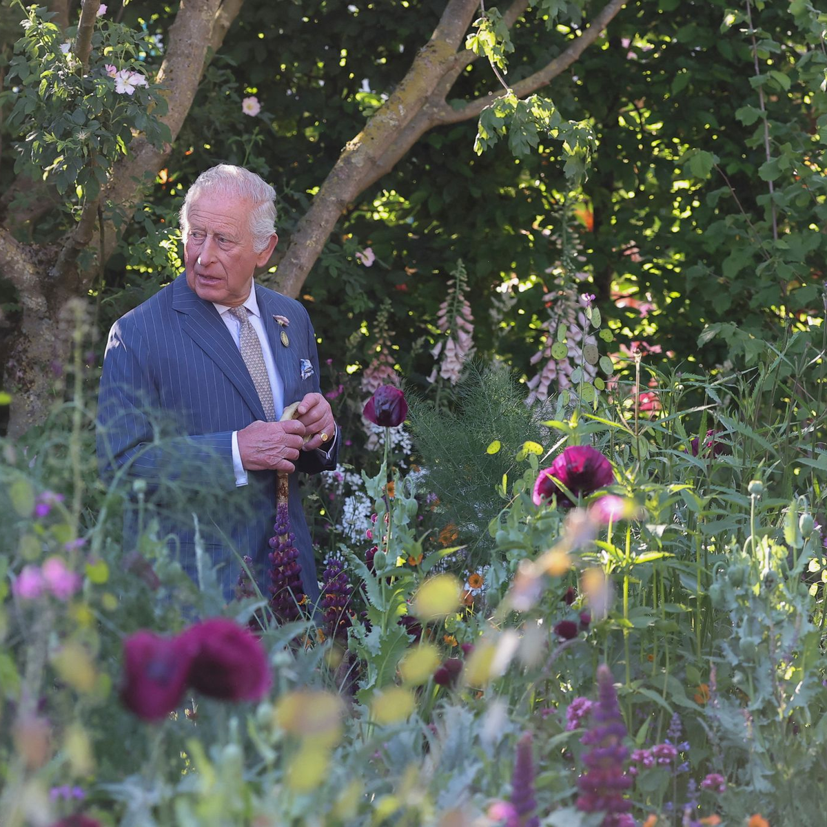 König Charles stützte sich beim Rundgang auf einen Stock. - Foto: Toby Melville/Reuters Pool/AP/dpa