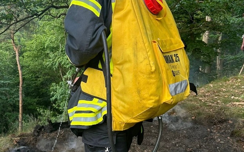 FW Bad Honnef: Vegetationsbrand in abgelegener Hanglage - 70 Kräfte im Einsatz - Foto: presseportal.de