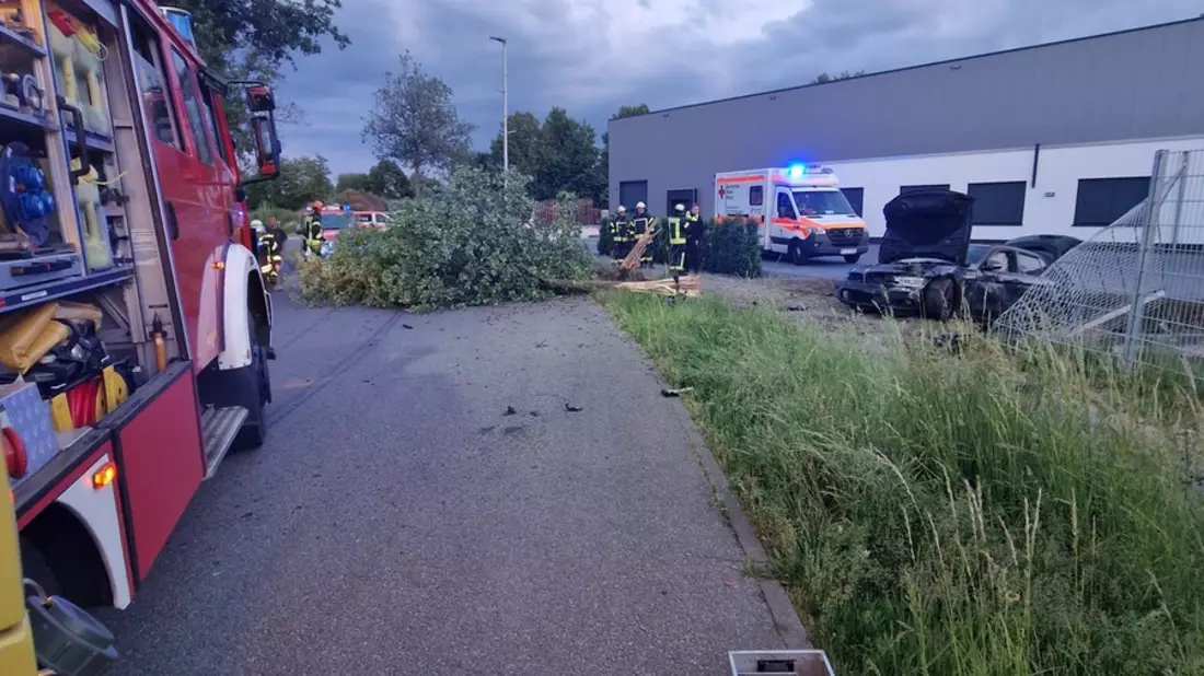 FW Celle: Verkehrsunfall - Bild: presseportal.de