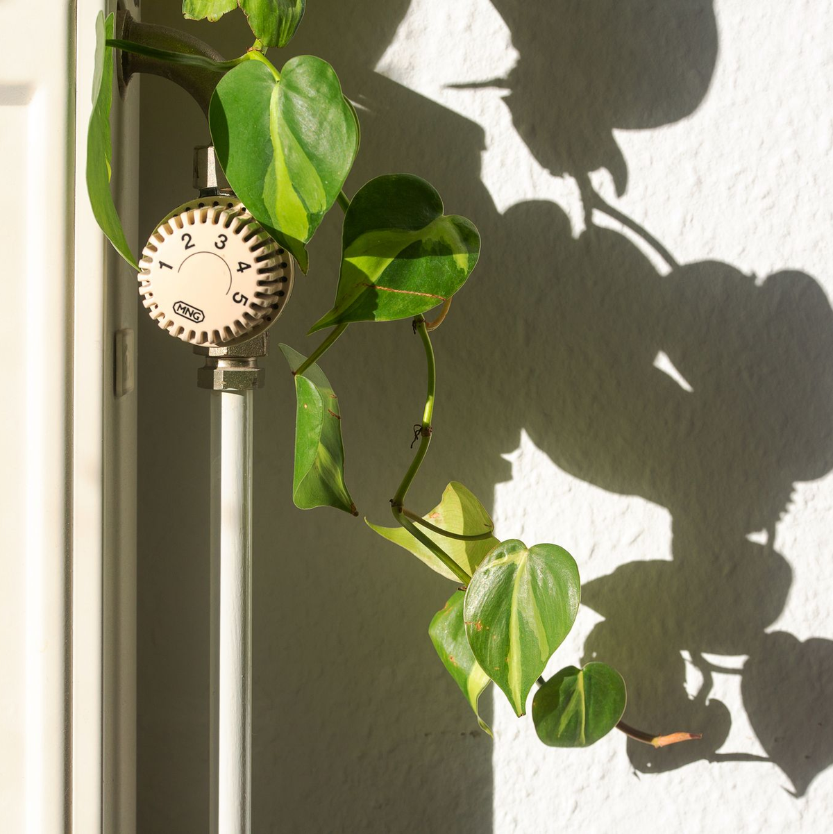 Auch Öl zum Heizen ist teurer geworden. (Symbolbild) - Foto: Fernando Gutierrez-Juarez/dpa