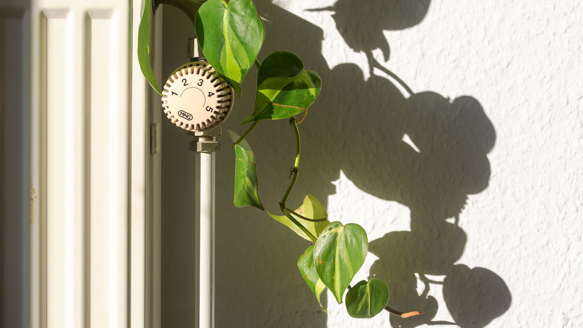 Verbände fordern klare Ansagen zur künftigen Heizungsförderung. - Foto: Fernando Gutierrez-Juarez/dpa