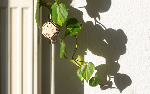 Verbände fordern klare Ansagen zur künftigen Heizungsförderung. - Foto: Fernando Gutierrez-Juarez/dpa Verbände fordern klare Ansagen zur künftigen Heizungsförderung. - Foto: Fernando Gutierrez-Juarez/dpa