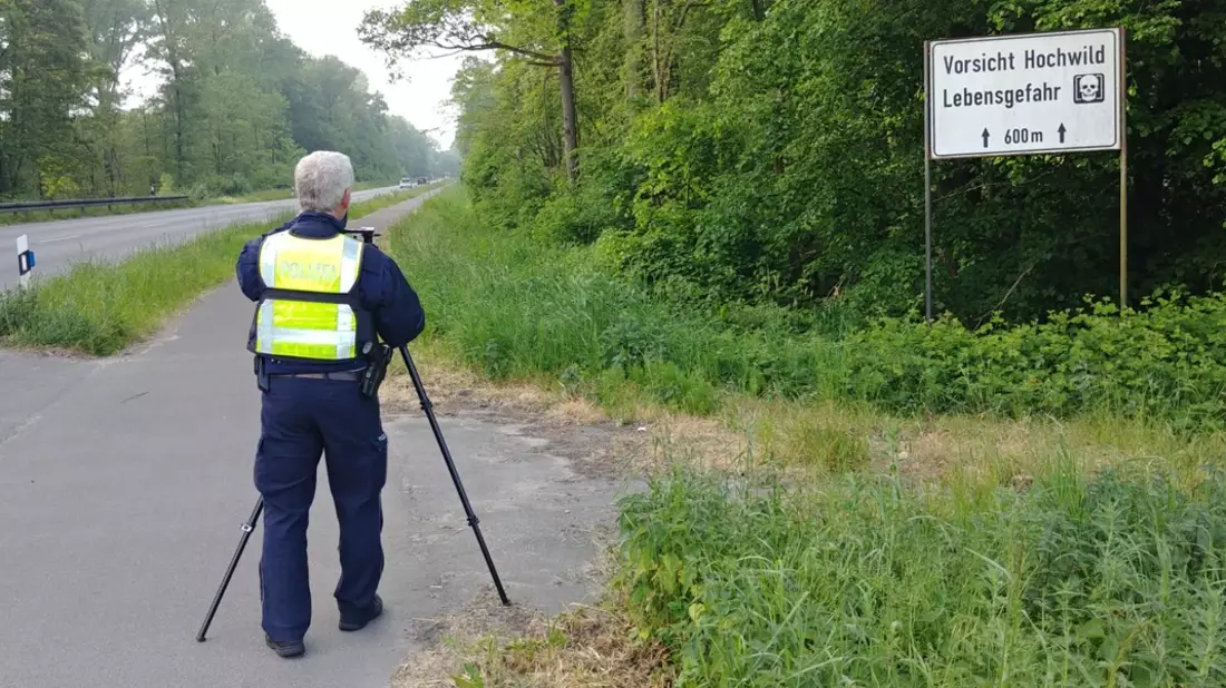 POL-COE: Coesfeld, Brink, B474/ Wildunfallzahlen senken - Bild: presseportal.de