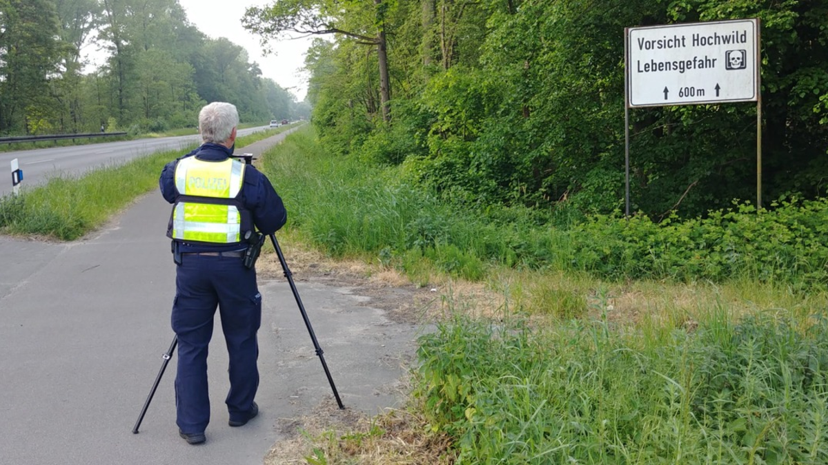 POL-COE: Coesfeld, Brink, B474/ Wildunfallzahlen senken - Foto: presseportal.de