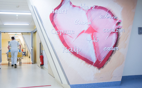 Zu den Herz-Kreislauf-Erkrankungen zählen zum Beispiel der Herzinfarkt und der Schlaganfall (Symbolbild). - Foto: Christian Charisius/dpa/dpa-tmn