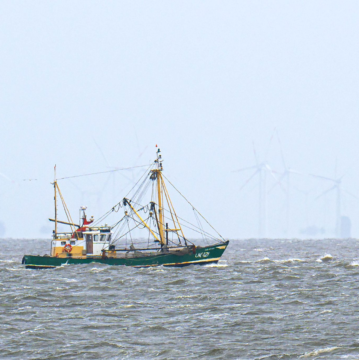 Krabbenfischer verlieren vor Gericht (Foto-aktuell). - Foto: Sina Schuldt/dpa