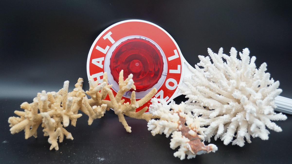 HZA-A: Zoll im Einsatz für bedrohte Tiere und Pflanzen/Internationaler Tag der Artenvielfalt - Foto: presseportal.de