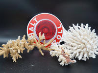 HZA-A: Zoll im Einsatz für bedrohte Tiere und Pflanzen/Internationaler Tag der Artenvielfalt - Foto: presseportal.de