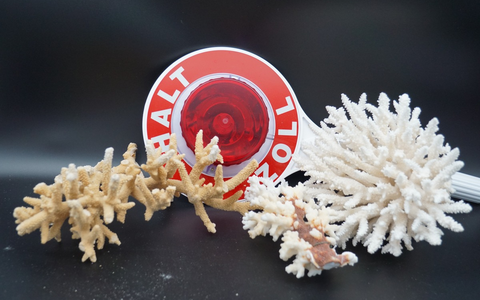 HZA-A: Zoll im Einsatz für bedrohte Tiere und Pflanzen/Internationaler Tag der Artenvielfalt - Foto: presseportal.de