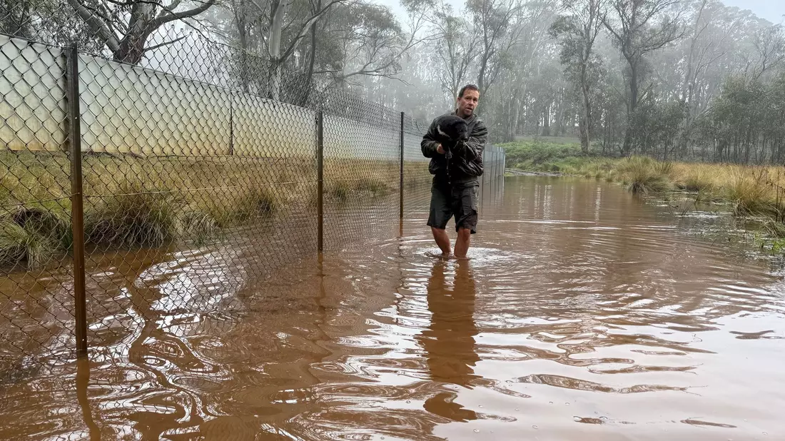 Aussie-Ark-Direktor Tim Faulkner brachte viele Tiere in Sicherheit - wie diesen Tasmanischen Teufel.  - Bild: --/Aussie Ark/dpa