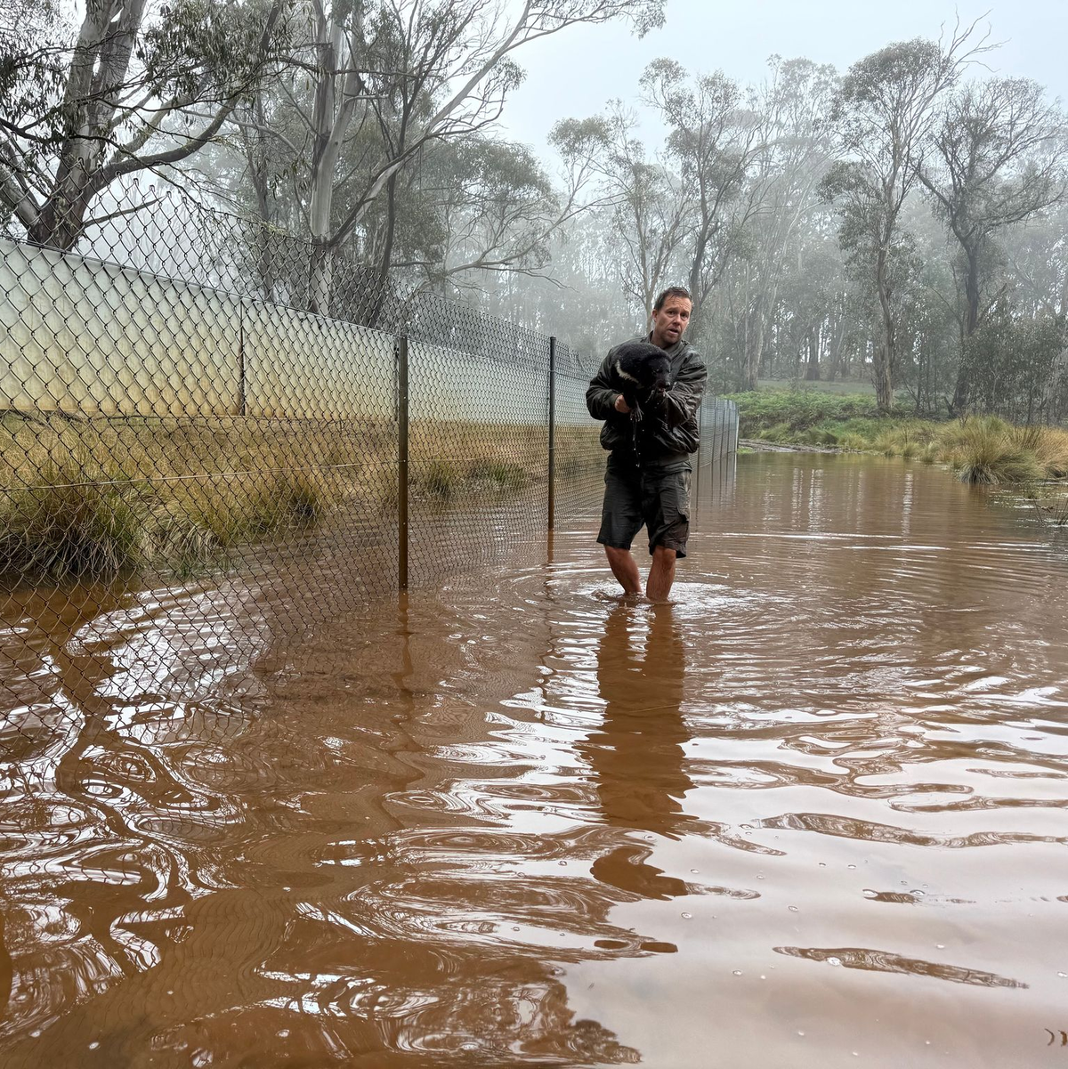 Aussie-Ark-Direktor Tim Faulkner brachte viele Tiere in Sicherheit - wie diesen Tasmanischen Teufel.  - Foto: --/Aussie Ark/dpa