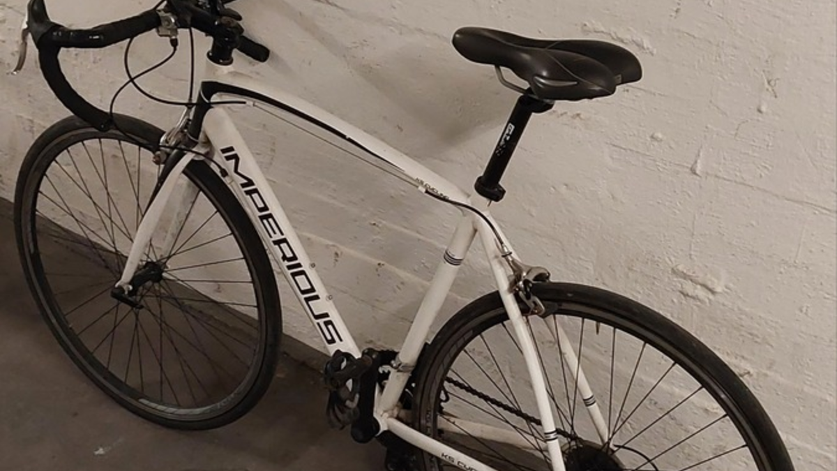 POL-HL: Lübeck - St. Gertrud / Sichergestelltes Rennrad - Eigentümer gesucht - Foto: presseportal.de