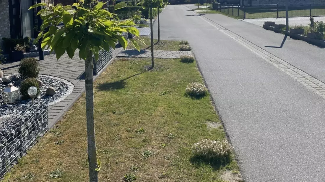 POL-CUX: Straßenbäume der Gemeinde in Beverstedt beschädigt - Zeugenaufruf (Foto im Anhang) - Bild: presseportal.de