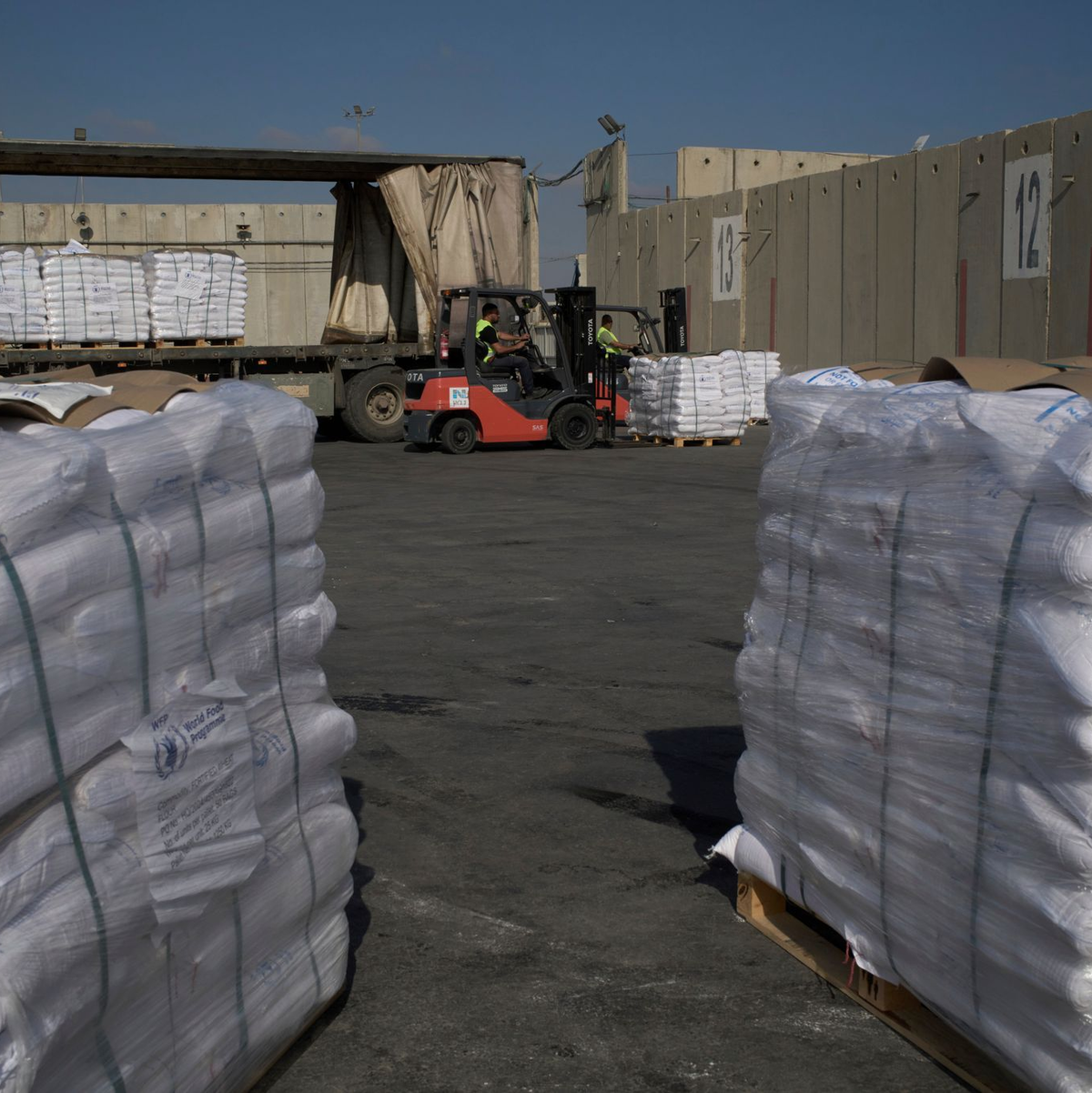 Erste Hilfslieferungen kommen bei Notleidenden in Gaza an. (Archivbild)  - Foto: Leo Correa/AP/dpa