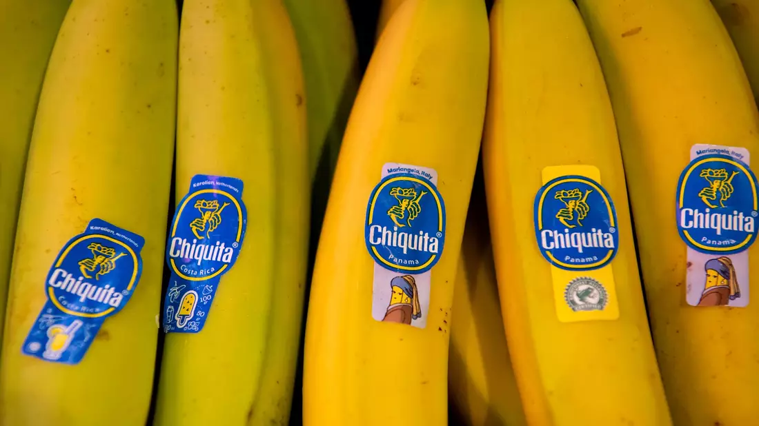 Bananen von Chiquita liegen in einem Supermarktregal in Bayern. (Archivbild)  - Bild: Sven Hoppe/dpa