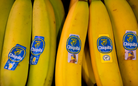 Bananen von Chiquita liegen in einem Supermarktregal in Bayern. (Archivbild)  - Foto: Sven Hoppe/dpa