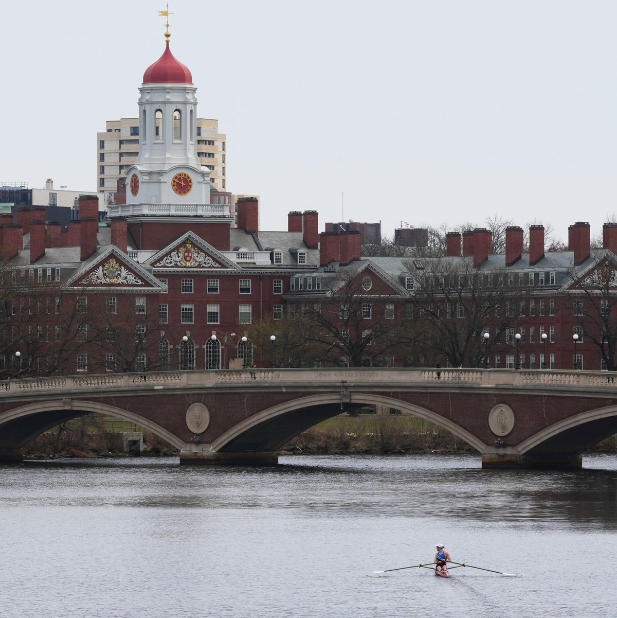 Die Harvard University in Cambridge in der Nähe von Boston (Massachusetts) an der US-Ostküste zählt zu den renommiertesten Hochschulen der Welt. (Archivbild) - Foto: Charles Krupa/AP/dpa