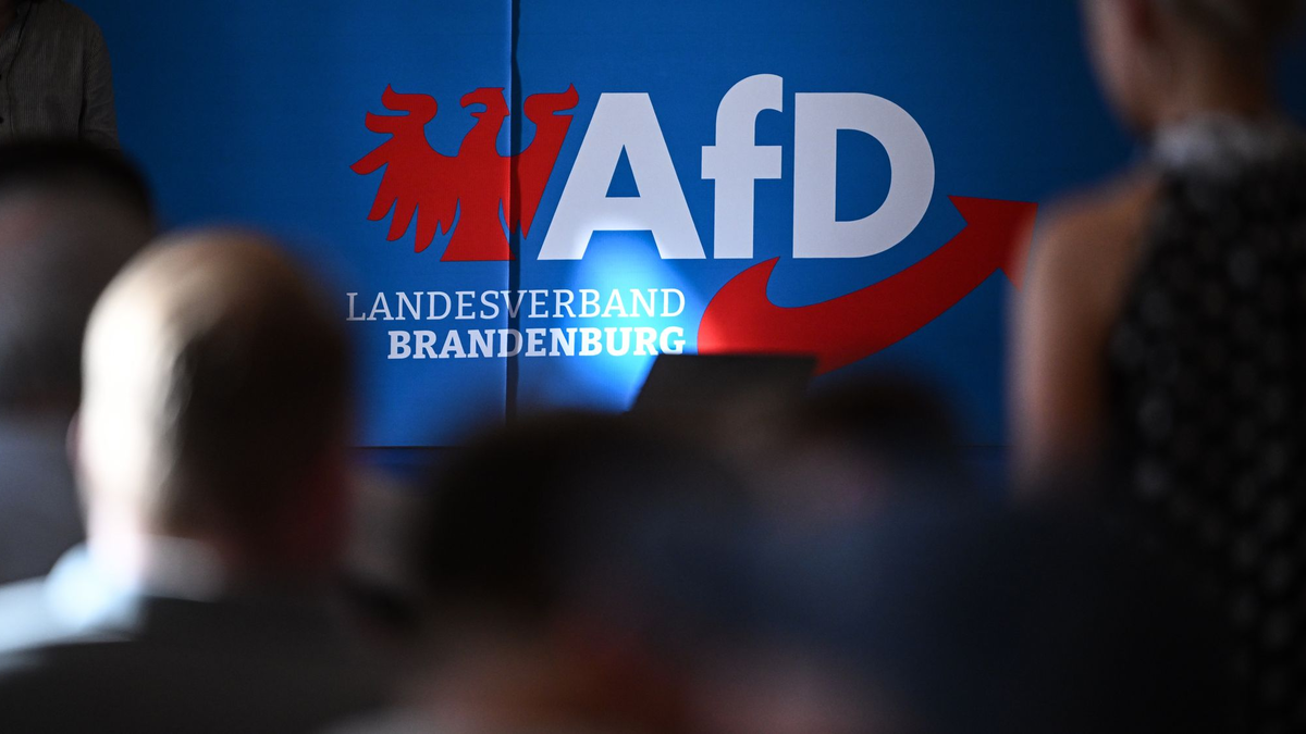 Die AfD in Brandenburg wehrt sich juristisch gegen ihre Hochstufung zur gesichert rechtsextremistischen Bestrebung. (Archivbild)  - Foto: Britta Pedersen/dpa