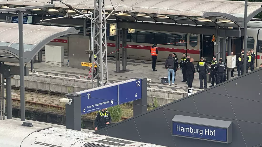 Bei dem Messerangriff auf dem Hamburger Hauptbahnhof sind mehrere Menschen schwer verletzt worden. - Bild: Steven Hutchings/dpa