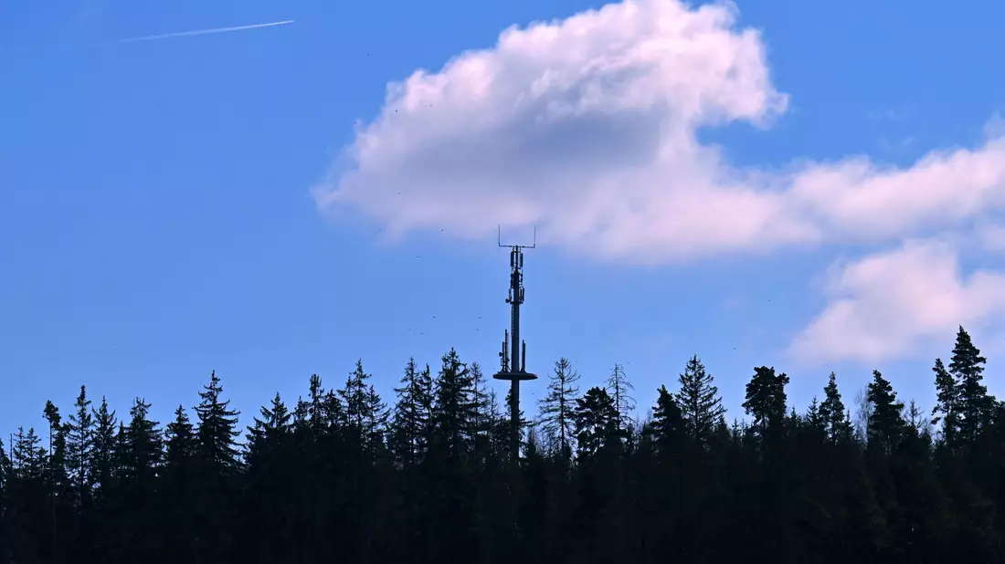 Hier gibt es Handynetz - anderswo fehlen hingegen noch Mobilfunkmasten im Wald, an Wiesen oder an Bauernhöfen. (Symbolbild) - Bild: Martin Schutt/dpa