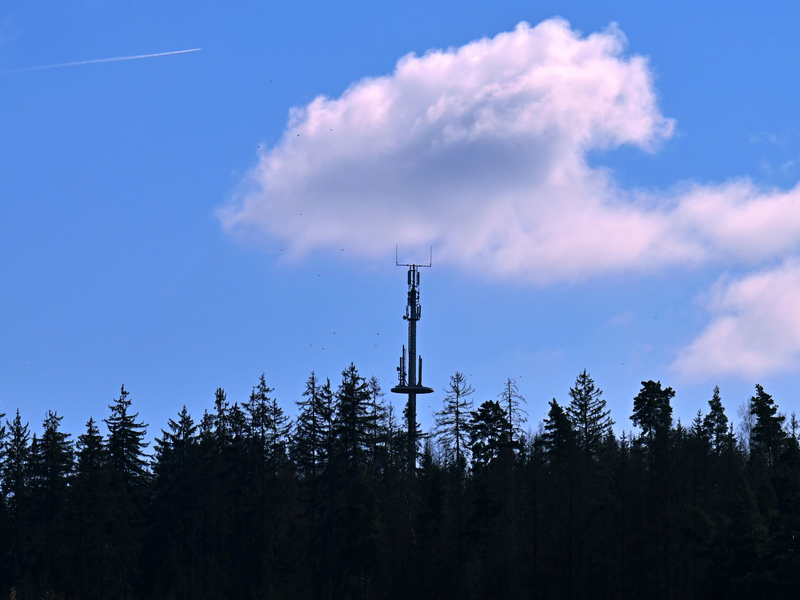 Hier gibt es Handynetz - anderswo fehlen hingegen noch Mobilfunkmasten im Wald, an Wiesen oder an Bauernhöfen. (Symbolbild) - Foto: Martin Schutt/dpa