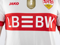 Besonderes Debüt / LBBW ist Trikotsponsor des VfB Stuttgart im DFB-Pokalfinale - Foto: presseportal.de