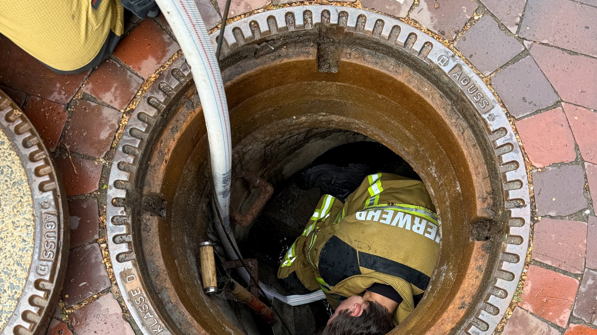 FW Osterholz-Scharm.: Feuerwehr rettet Entenküken - Foto: presseportal.de