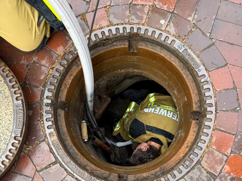 FW Osterholz-Scharm.: Feuerwehr rettet Entenküken - Foto: presseportal.de