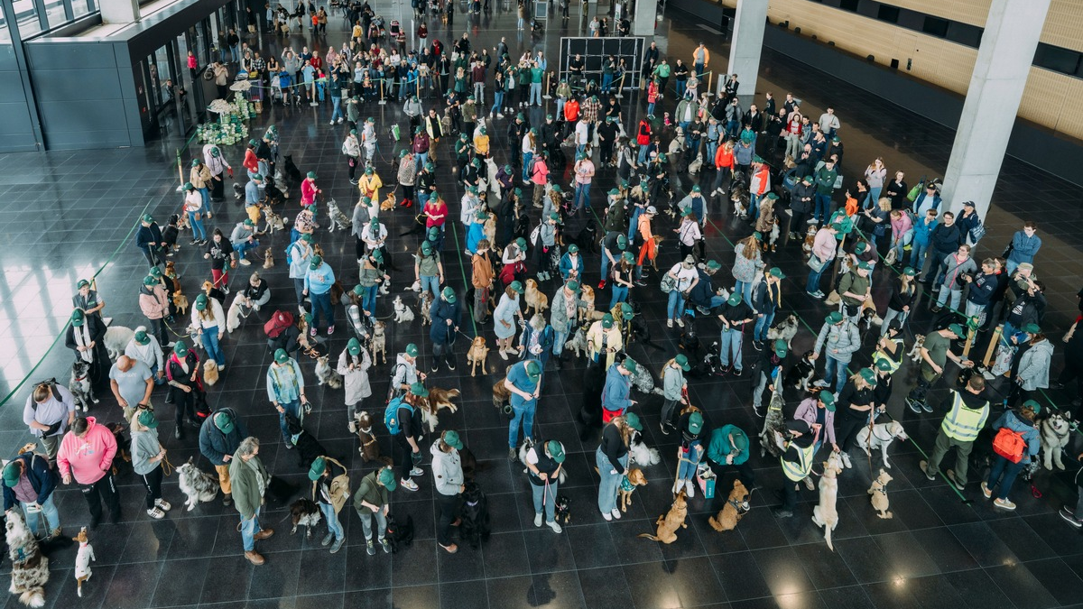 122 Hunde schreiben Geschichte: James Wellbeloved(TM) stellt neuen GUINNESS WORLD RECORDS® Titel auf - Foto: presseportal.de