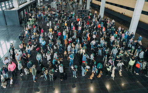 122 Hunde schreiben Geschichte: James Wellbeloved(TM) stellt neuen GUINNESS WORLD RECORDS® Titel auf - Foto: presseportal.de