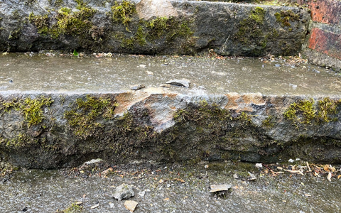 POL-KLE: Rees - Sachbeschädigung an Steintreppe / Zeugen gesucht - Foto: presseportal.de
