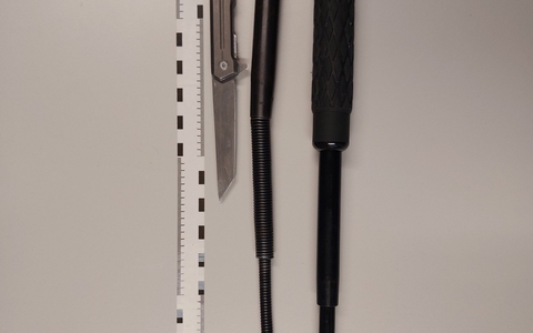 POL-HL: Lübeck/St. Lorenz Waffenkontrolle am Hauptbahnhof Lübeck - Foto: presseportal.de