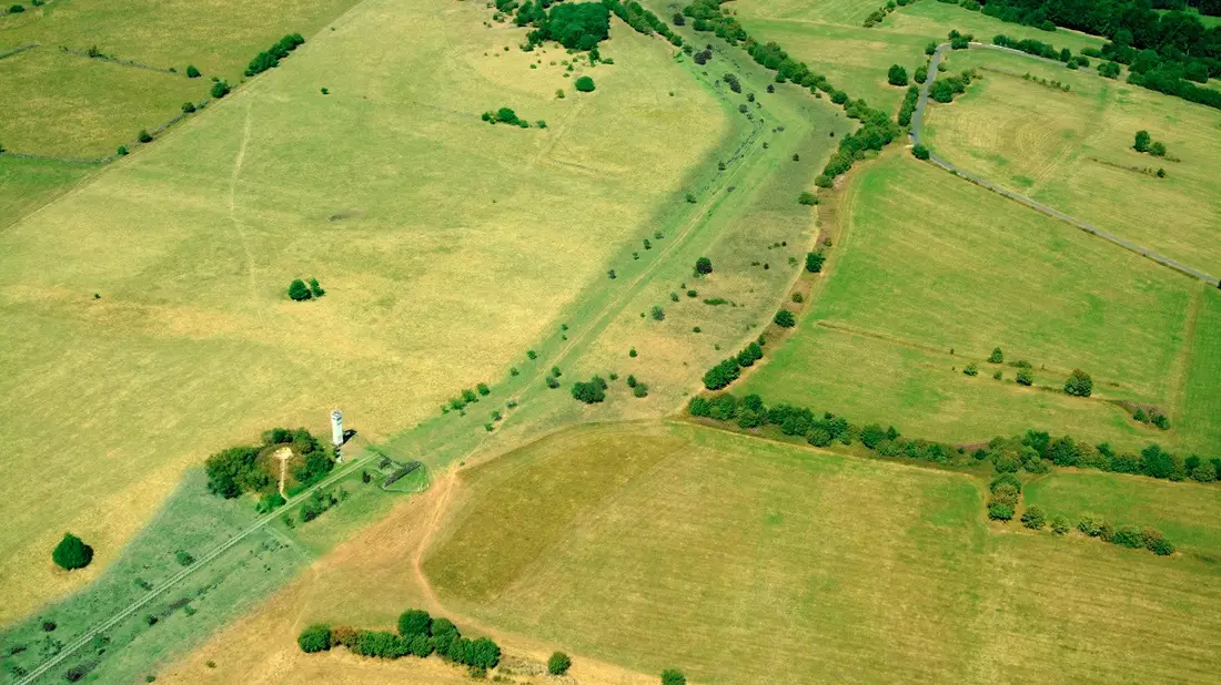 Längste Erfassung der Artenvielfalt Deutschlands am Grünen Band gestartet / Neues Forschungsprojekt von BUND und BfN liefert Daten für die Nominierung des Grünen Bandes als UNESCO Welterbe - Bild: presseportal.de