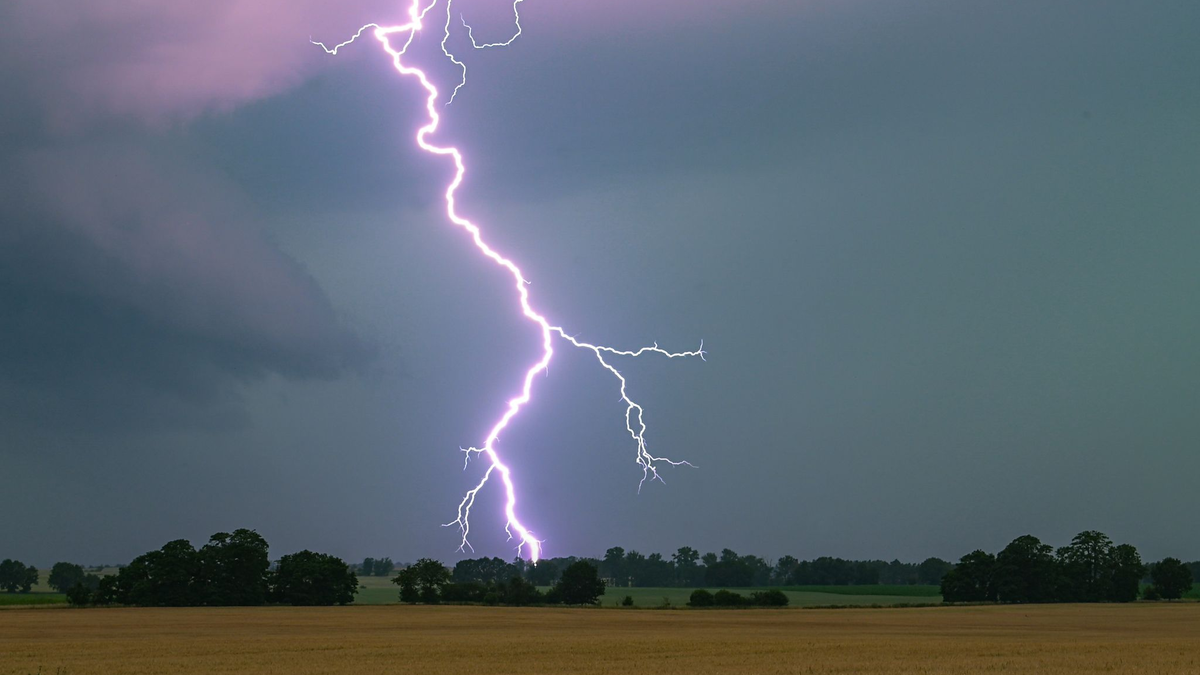 Am Mittwoch werden Gewitter in Deutschland erwartet. (Symbolbild) - Foto: Patrick Pleul/dpa