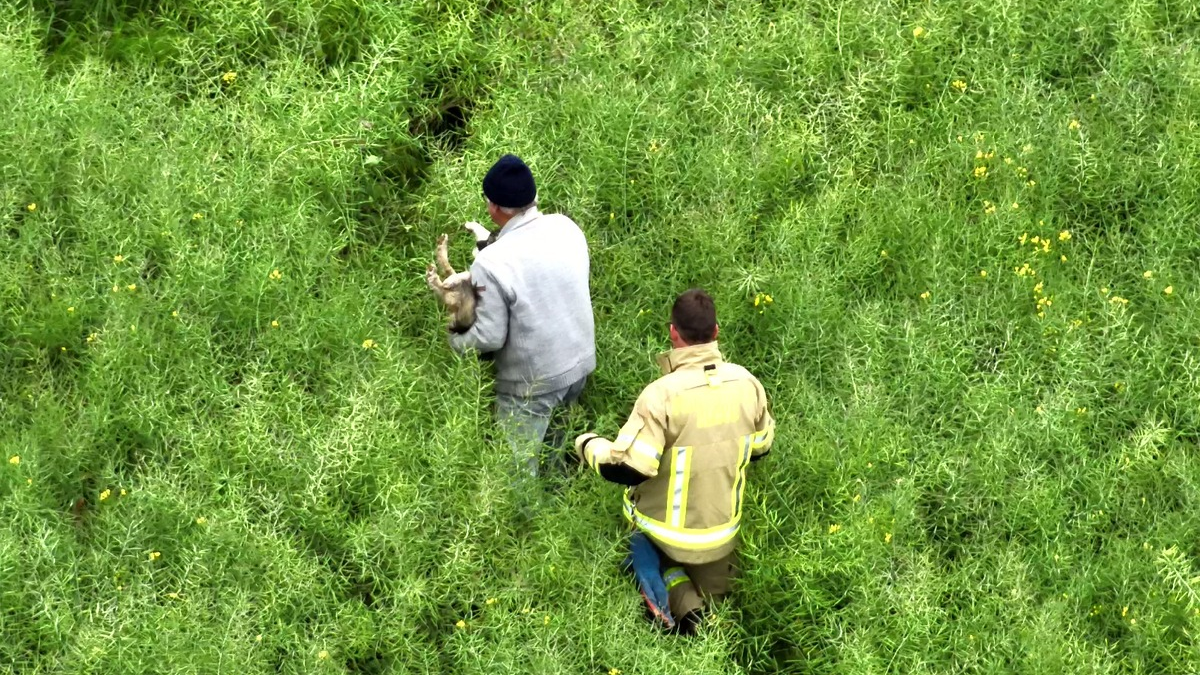 FW-KLE: Geschwächter Hund mit Drohne in Rapsfeld geortet und gerettet - Foto: presseportal.de