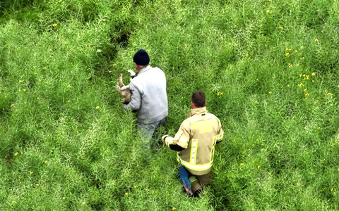 FW-KLE: Geschwächter Hund mit Drohne in Rapsfeld geortet und gerettet - Foto: presseportal.de