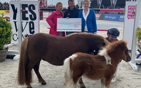 Fohlen-Versteigerung für einen guten Zweck: Krebs-Selbsthilfegruppe yeswecan!cer freut sich über 25.000 Euro Spende im Rahmen der DKB Pferdewoche Hohen Wieschendorf - Foto: presseportal.de Fohlen-Versteigerung für einen guten Zweck: Krebs-Selbsthilfegruppe yeswecan!cer freut sich über 25.000 Euro Spende im Rahmen der DKB Pferdewoche Hohen Wieschendorf - Foto: presseportal.de