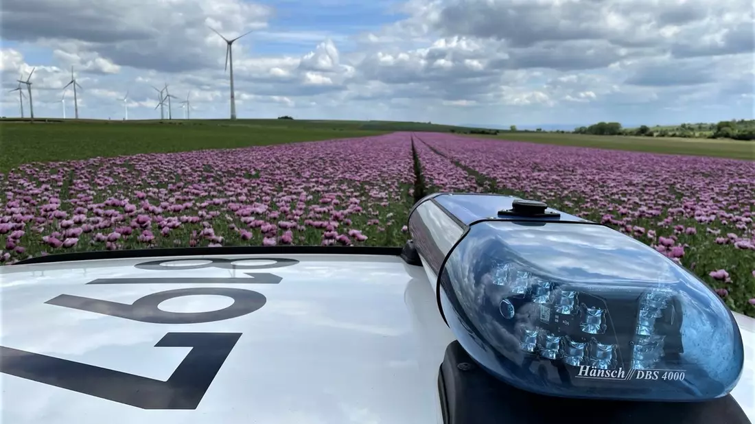 POL-PDNW: Autofahrer unter Alkoholeinfluss - Bild: presseportal.de
